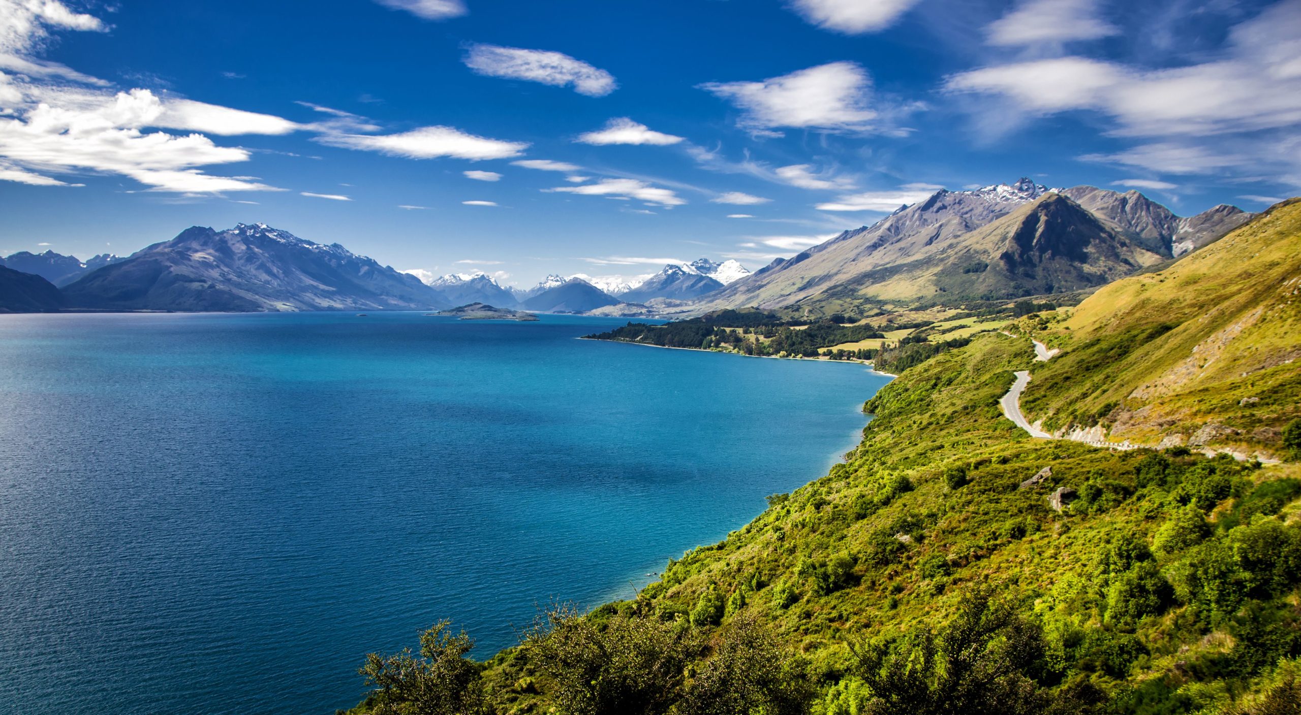 looking-for-visa-options-in-new-zealand-best-immigration-advice